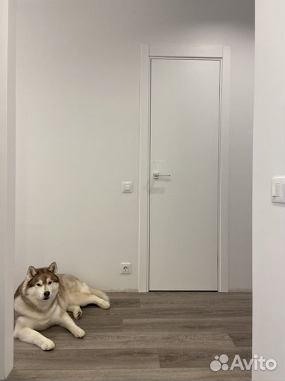 Двери межкомнатные белая эмаль гладкие комплект