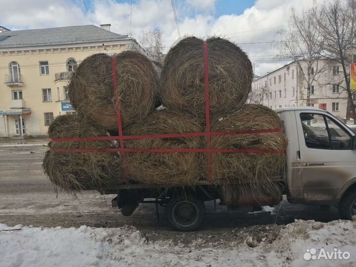 Сено в рулонах