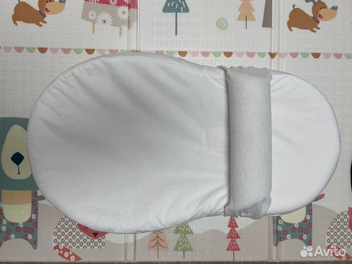 Кокон Зевушка