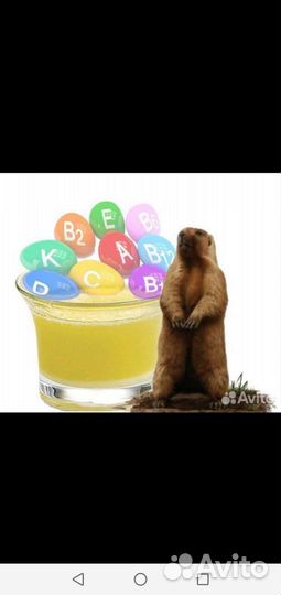 Сурковый жир