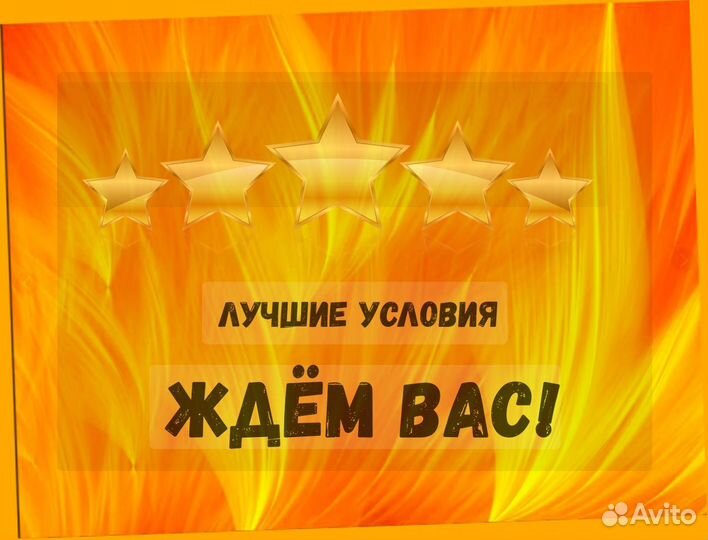 Оператор производственной линии Без опыта М/Ж