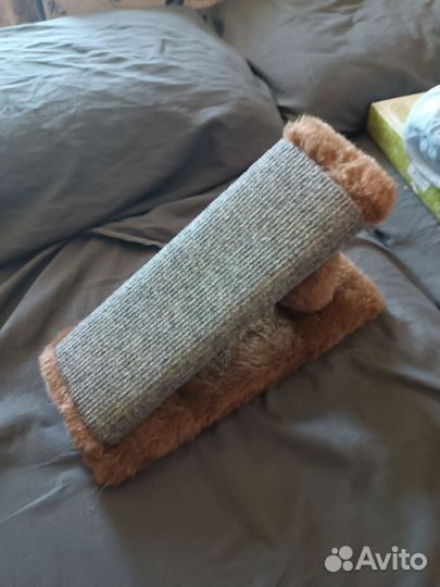 Когтеточка для котят