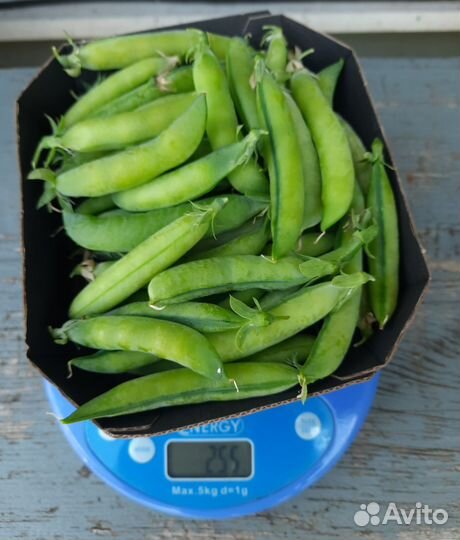 Горошек зеленый в стручках