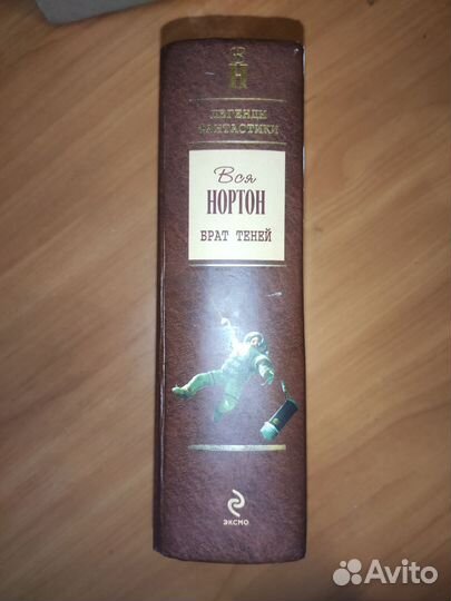 Андре Нортон - Брат теней