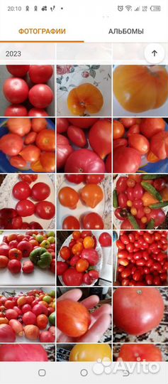 Коллекционные сорта семян