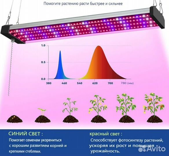 Фитолампа Светодиод полного спектра LED