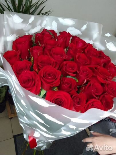 Букет 101 роза/Красные розы