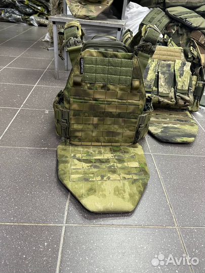 Плитоносец пират про мох