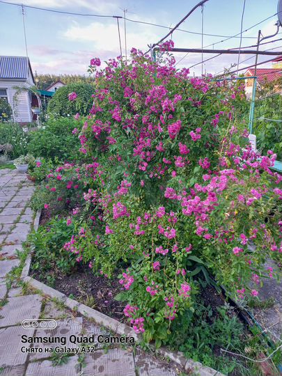 Дача 42 м² на участке 12 сот.