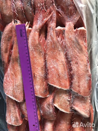 Тухлую не продаем Свежайшая рыба для бизнеса