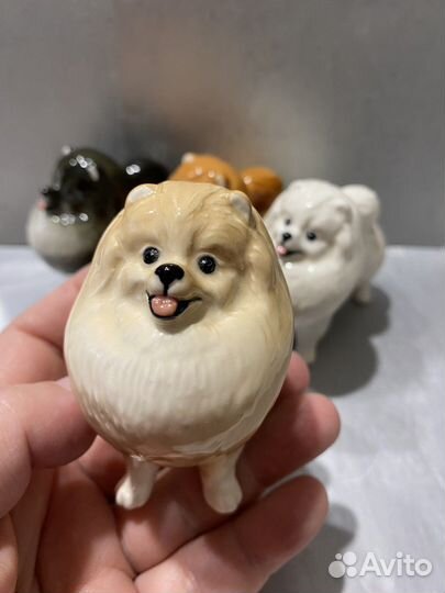 Шпиц фарфоровые статуэтки Сувениры