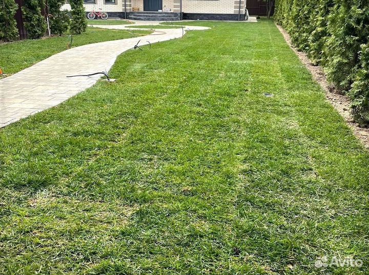Газон с быстрой доставкой