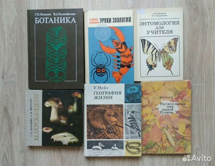 Энтомология, Зоология, ботаника, грибы