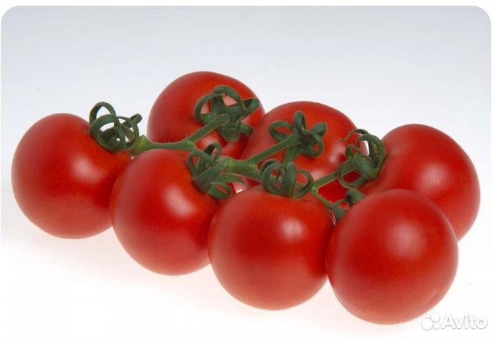 Семена Томата 