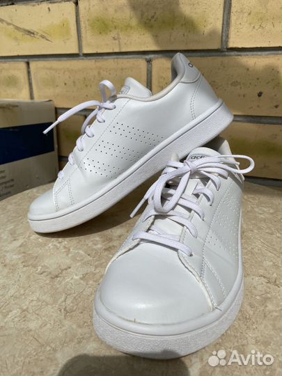 Кроссовки adidas advantage base