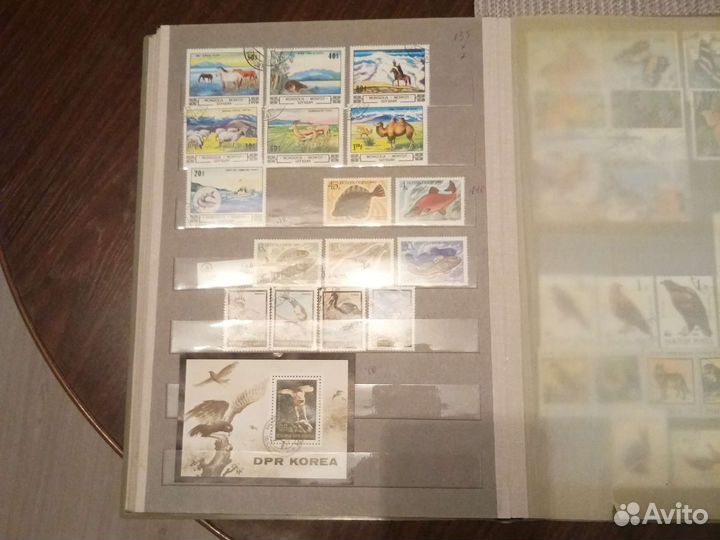 Альбом животные разные страны 10страниц