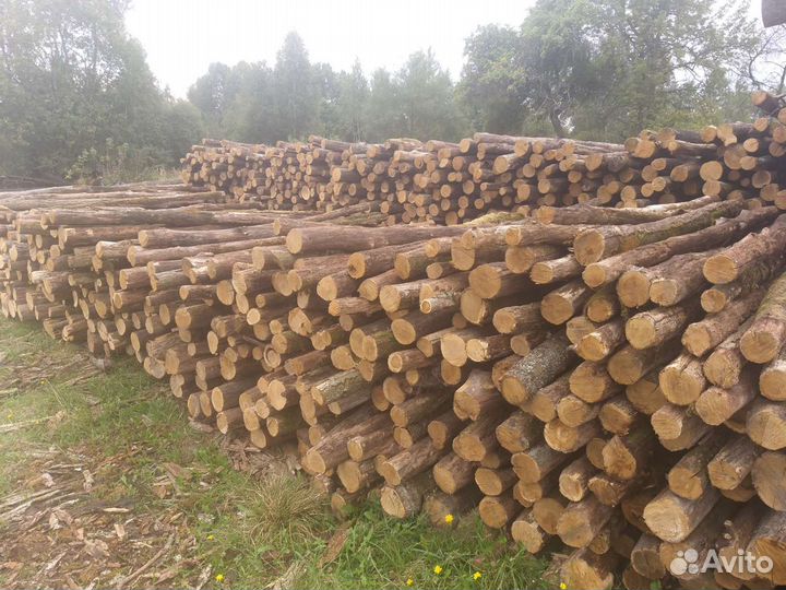 Столбы дубовые