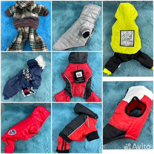 Одежда для собак