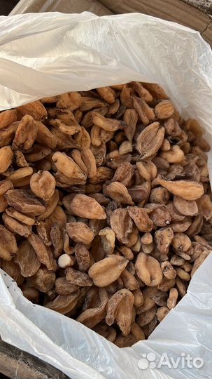 Ятрышник (салеп)