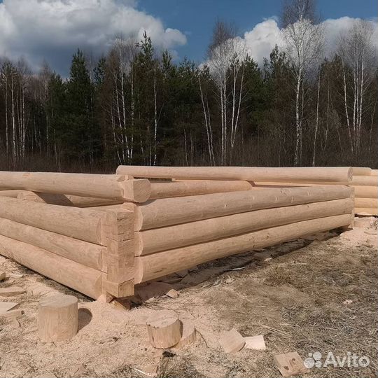 Сруб дома из бревна