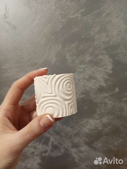 Суккуленты