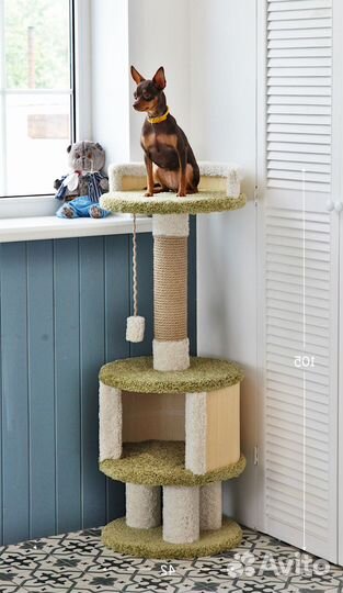 Когтеточка