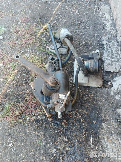 Гур на газель