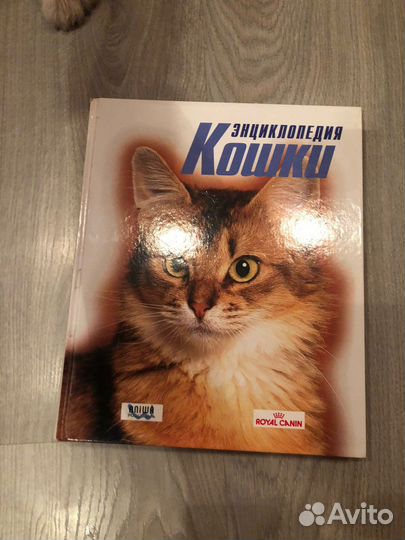 Эциклопедия про кошек