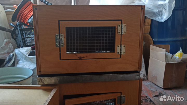 Брудер для цыплят