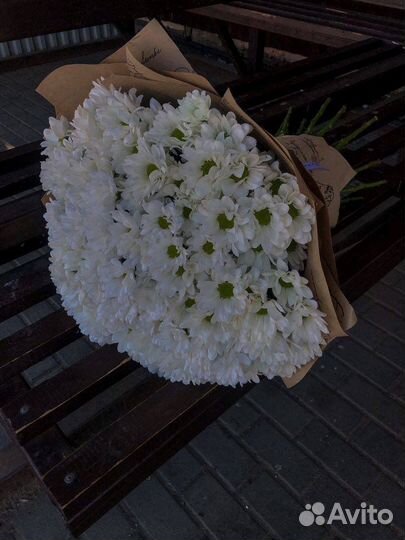 Хризантема