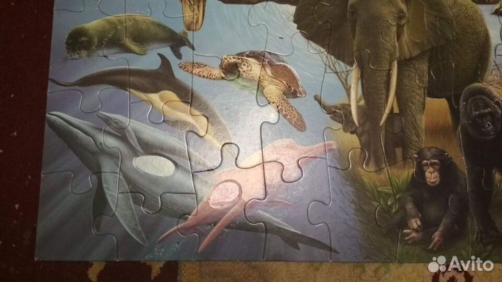Пазлы напольные и настольные