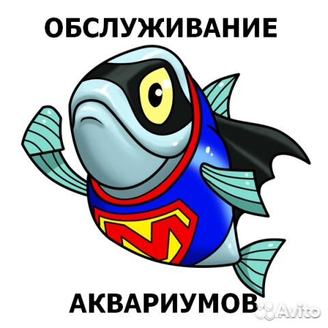 Аквариумное обслуживание, запуск и дизайн