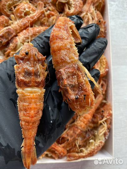 Креветки Шримсы Медведка, Морской Дракон, Козырьки