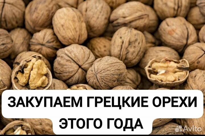 Грецкий орехи
