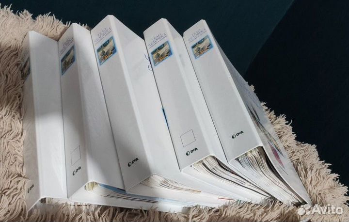 Тело человека. Снаружи и внутри