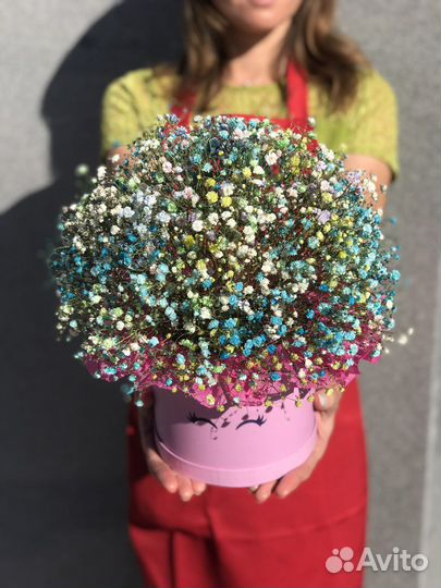 Цветы гипсофила