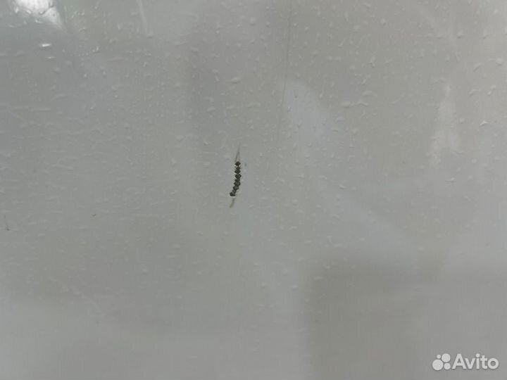 Крыло переднее левое Audi A4/RS4/S4