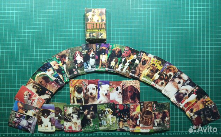 Карты сувенирные Щенята похитители наших сердец