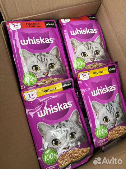 Влажный корм для кошек вискас 42 шт