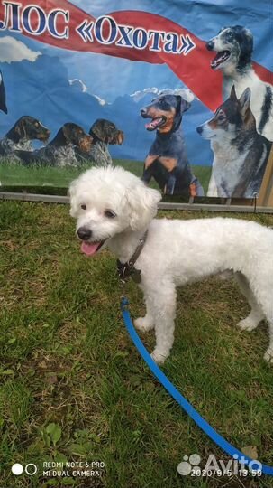 Вязка в Сочи