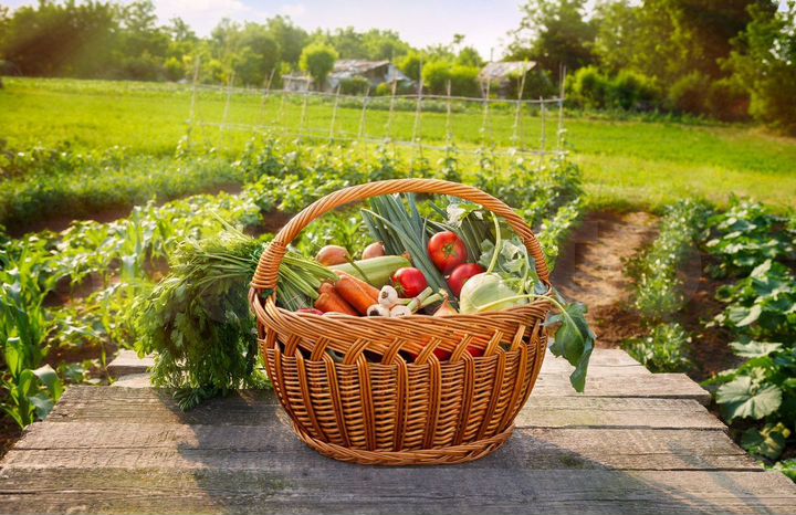 Участок 4,6 сот. (ИЖС)