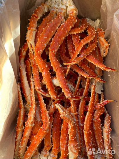 Клешни камчатского краба