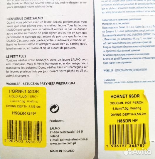 Salmo Hornet 5SDR - GFP/HP