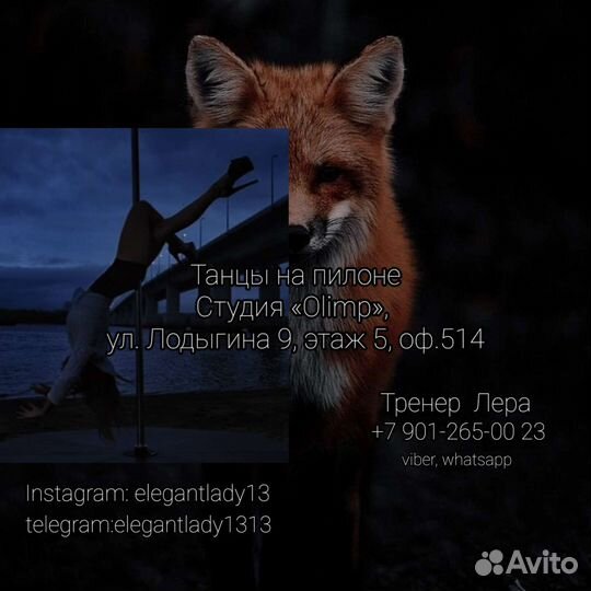 Тренер по танцам на пилоне