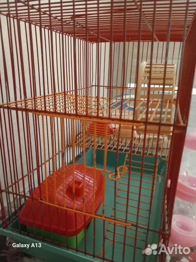 Клетка для грызунов бу