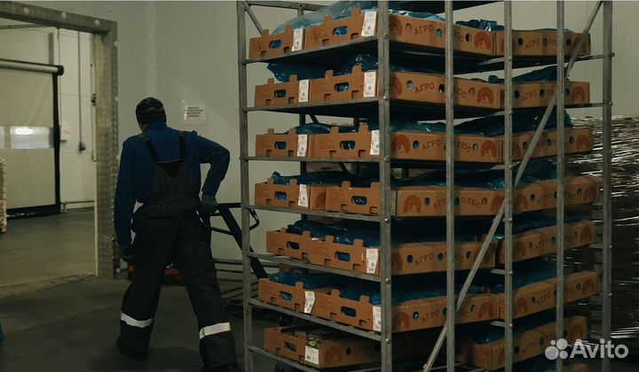 Разнорабочий