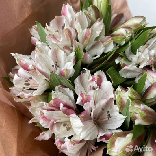 Живые цветы букеты