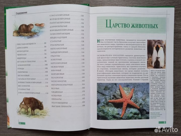 Детская научно-популярная литература