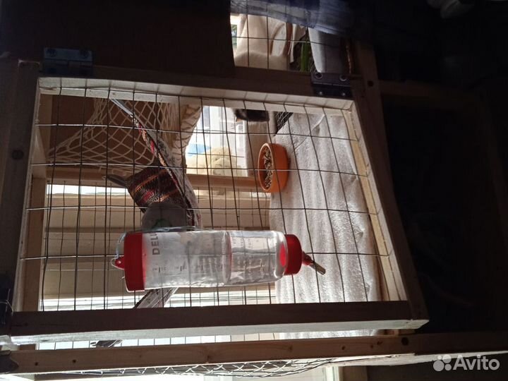 Клетка для грызунов