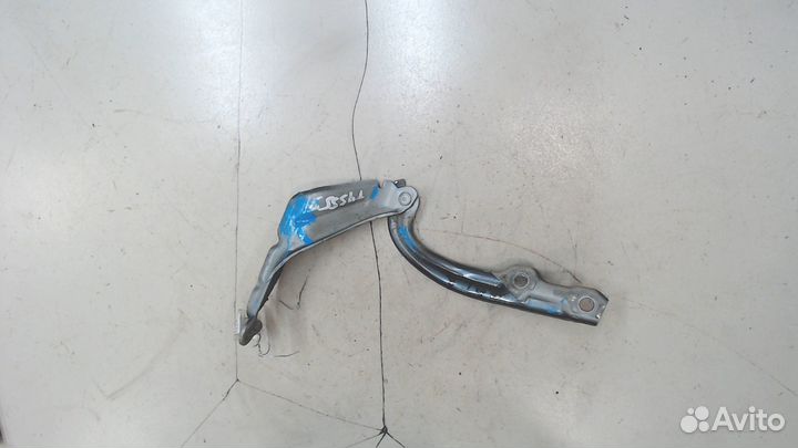 Петля капота правая Skoda Octavia (A7), 2018